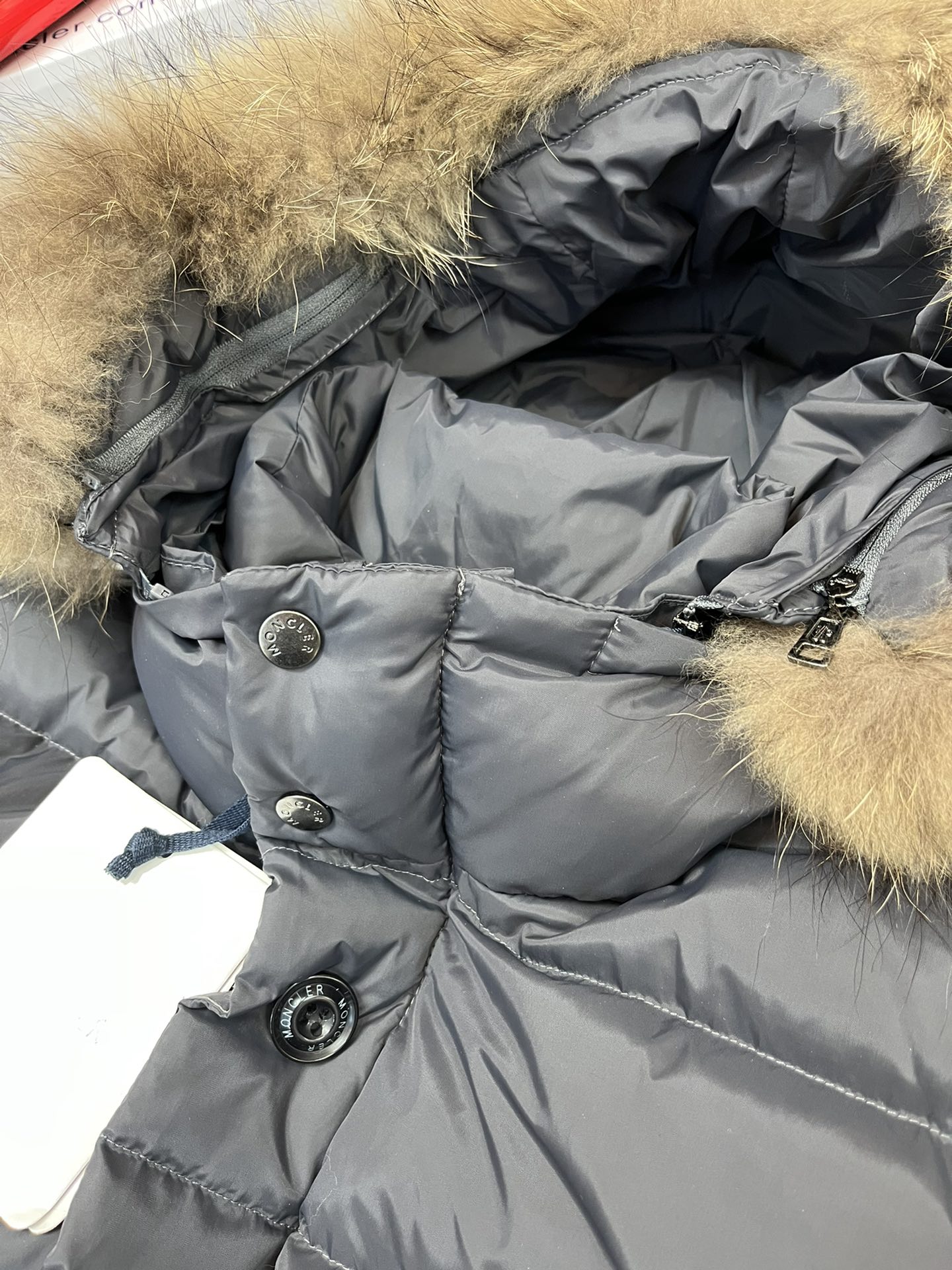 Moncler Down Jackets